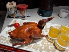 -大鸽饭(动物园店)
