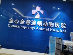 -全心全意连锁动物医院·微创中心·内科急重症·心脏专科(丰管路店)