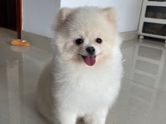 -宠颐生动物医院·小陆分院