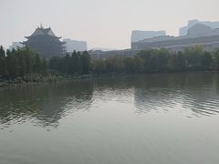 -长兴太湖图影湿地文化园