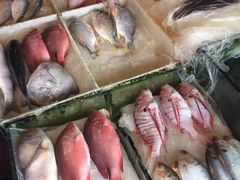 -新光酒家·河豚·海鲜·蟹料理(浦东店)
