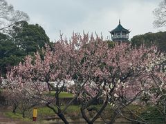-无锡梅园公园