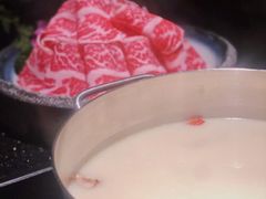 -捞王猪肚鸡火锅(财富中心店)