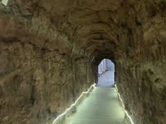 -中国西峡恐龙遗迹园