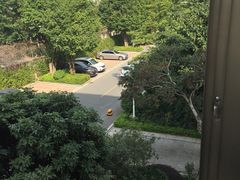 -顺德碧桂园西苑泛翠庭