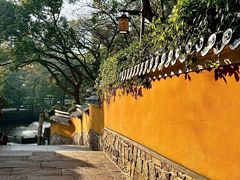 -普陀山风景名胜区-法雨禅寺