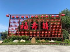 -合肥滨湖国家森林公园