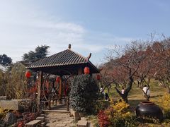 -无锡梅园公园