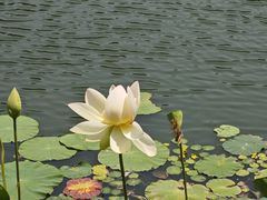 -南戴河国际娱乐中心