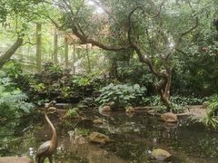 -广州兰圃