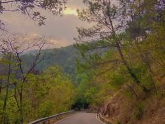 -广州白江湖森林公园