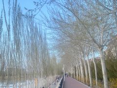 -党河风情线国家水利风景区