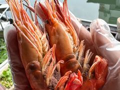 -蟹村草堂·苏式园林人文农家·大闸蟹