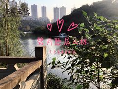 -重庆彩云湖湿地公园