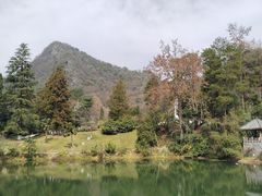 -黔灵山公园