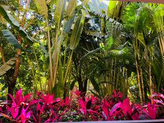 -西双版纳融创皇冠假日度假酒店