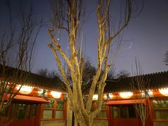 -北京古城老院厉晓麟精致菜