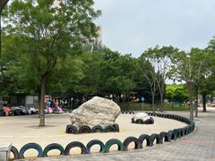 -大望京公园