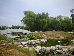 -永定河休闲森林公园
