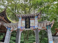 -苍山感通索道