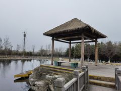 -西安浐灞国家湿地公园