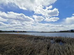 -野鸭湖国家湿地公园