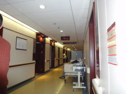DSC01410-复旦大学附属妇产科医院(杨浦院区)
