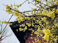 -钱王祠