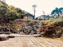 -娄山关景区