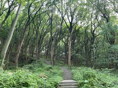 -上海海湾国家森林公园