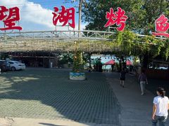 -望湖烤鱼