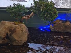 -潮上潮(南中环店)