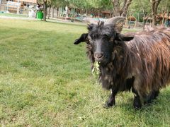 -北京鹿世界主题园