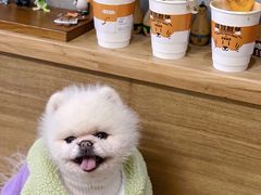 -Pause Coffee(恒大广场店)