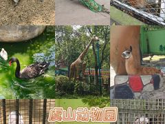 -虞山风景区