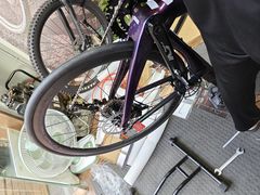 -道路口单车爱瓦士dahon大行