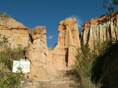 -千年银杏谷文化旅游区