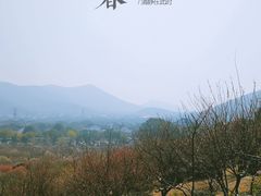 -香雪海