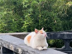 -西湖天地