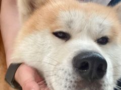 -餐酒吧Com-ing Bar(上海路店)