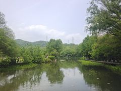 -八卦田遗址公园