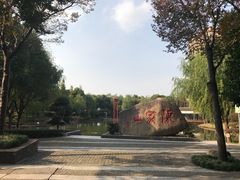 -陈家山荷花公园