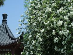 -郑和公园