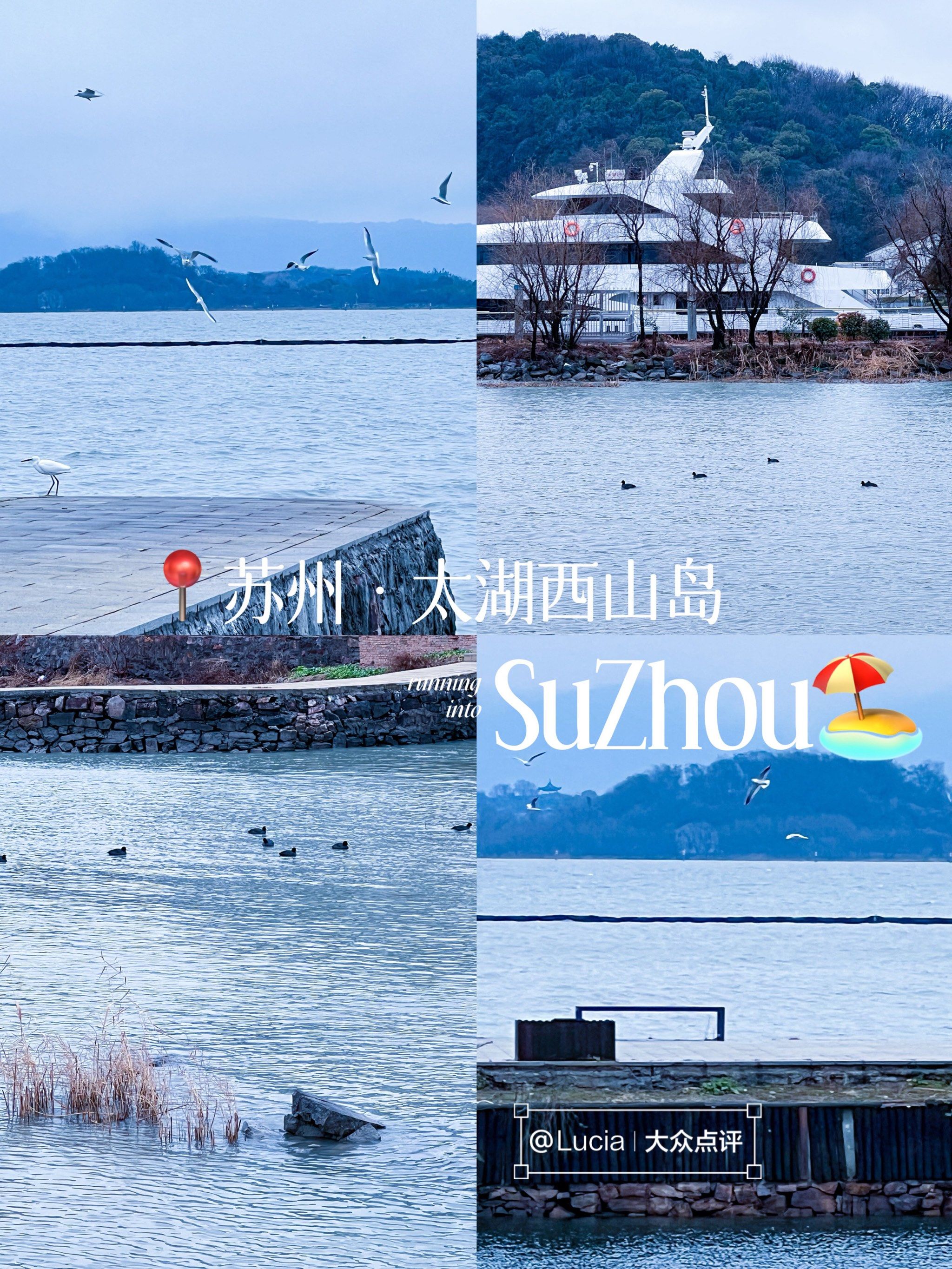 不在大理7515在苏州太湖边的海鸥!