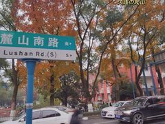 -岳麓山风景名胜区