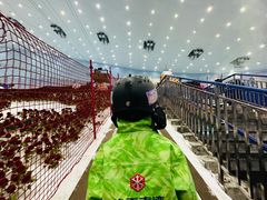 -广州热雪奇迹