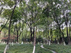 -后襄河公园