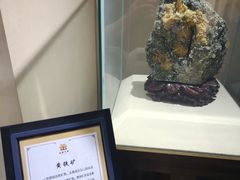 -黄金博物馆