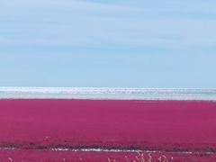 -红海滩国家风景廊道