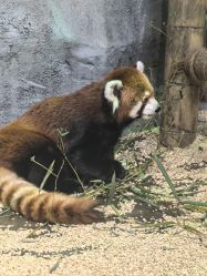 -Zoolung Zoolung动物主题公园(海信广场店)